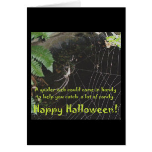 Carte Spider & Web Halloween