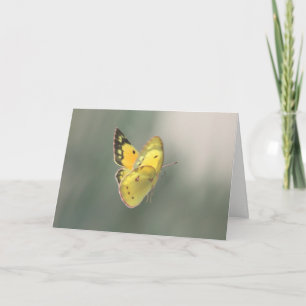 Carte Spiritual Transition Butterfly Sympathy Card