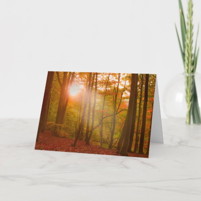 Carte Splendeur d'automne (Devant)