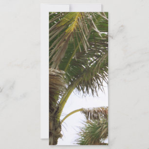 Carte Splendeur tropicale