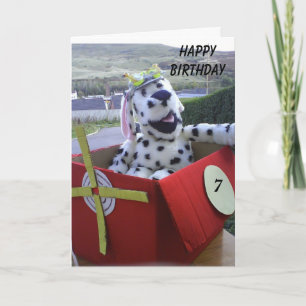 Carte Spot vole son imagination