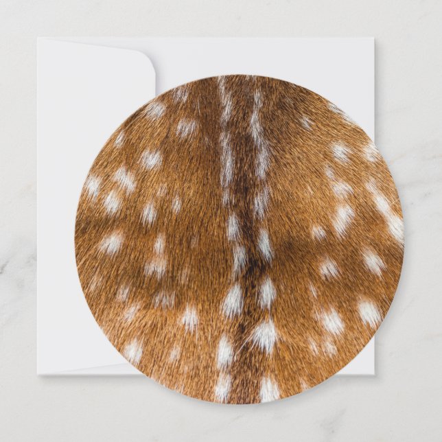 Carte Spotted deer pour texture (Devant)