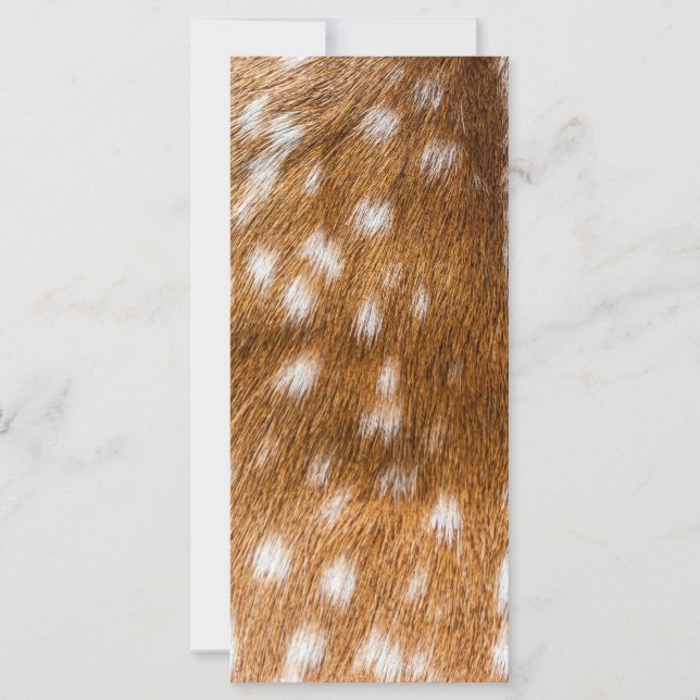 Carte Spotted deer pour texture (Devant)