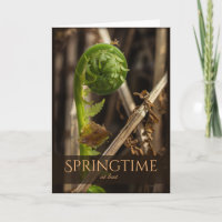 Spring Young loin rising CC0920 Beautiful nature