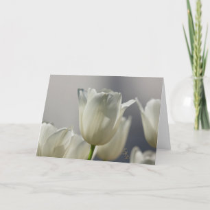 Carte Springs Storm Beauté Rose sauvage en pluie