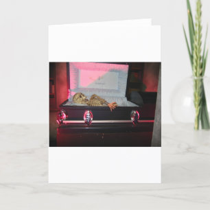 Carte squelette dans le cercueil