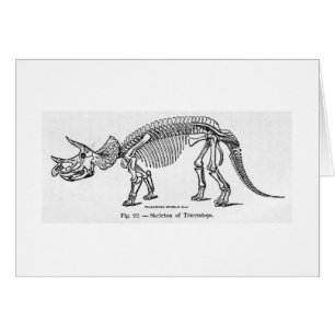 Carte squelettique d'art de Triceratops