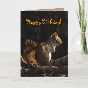 Carte Squirl de Sunlight Birthday