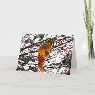 Carte Squirrel Neige Rouge Berry Tree Photo Anniversaire