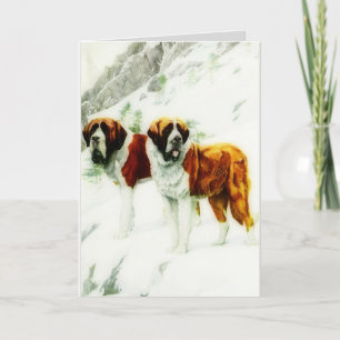 Carte St Bernard rugueux et lisse - peinture