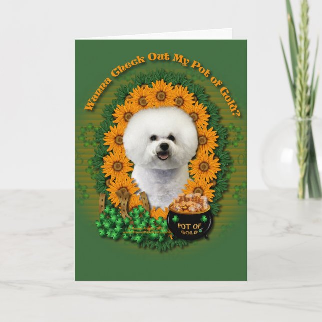 Carte St patrick - pot d'or - Bichon Frise (Devant)