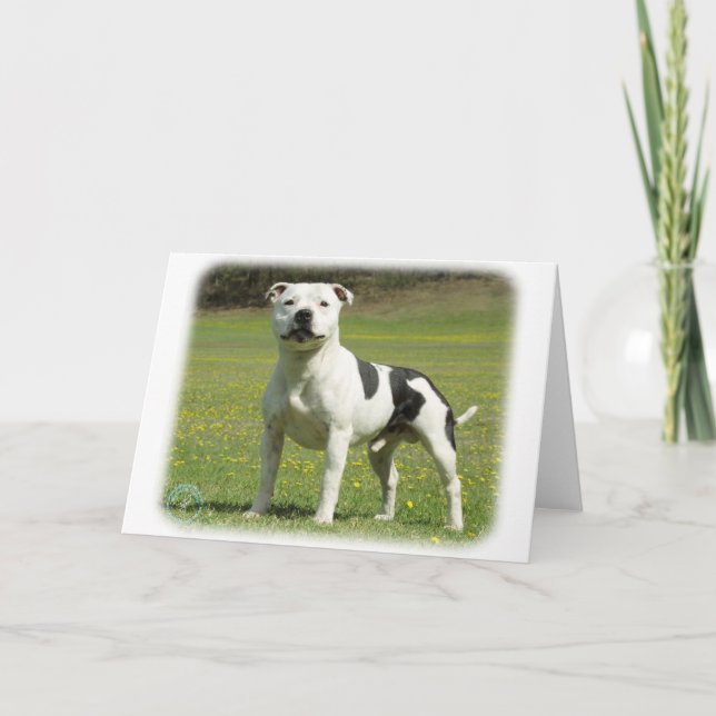 Carte Staffordshire Bull Terrier (Devant)