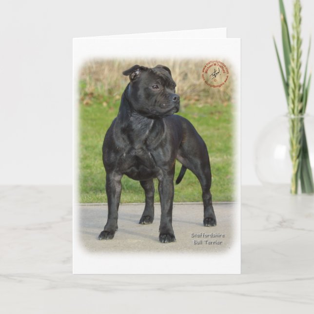Carte Staffordshire Bull Terrier (Devant)