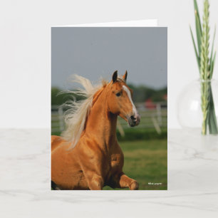Carte Stallion à cheval Palomino Tennesee