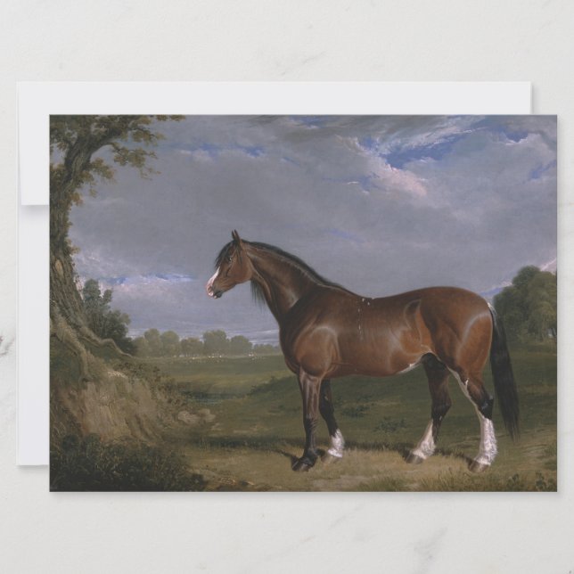 Carte Stallion de Clydesdale (Thoroughbred Horse) (Anima (Devant)