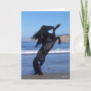 Carte Stallion Friésien Noir Élevant Sur La Plage
