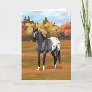 Carte Stallion hippique Grulla Appaloosa
