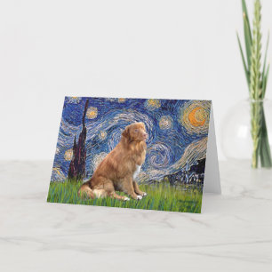 Carte Starry Night - Nova Scotia Duck Rolling Retriever