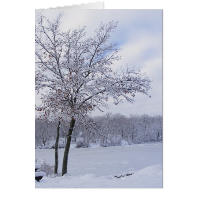 Carte Sticky Snow 24 ~ Carte (Devant)