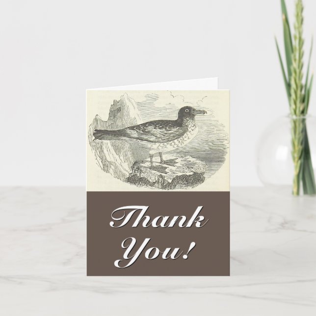 Carte Style vintage, Oiseau, "Merci !" (Devant)