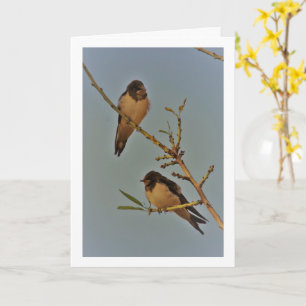 Carte Style vintage Swallow Birds Portrait