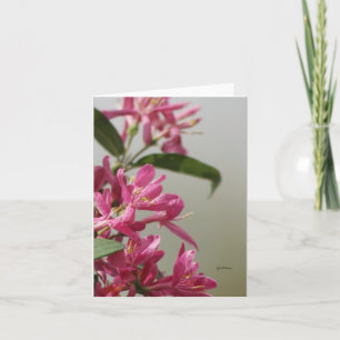 Carte Succès rose sauvage