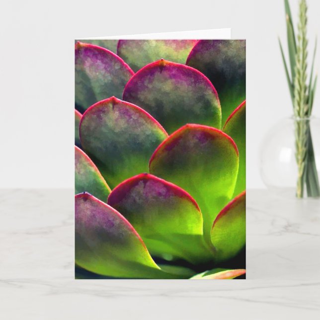 Carte Succulent du désert au soleil et à l'ombre (Devant)