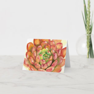 Carte Succulent Sedeveria 'Pink Ruby' watercolor by DLB