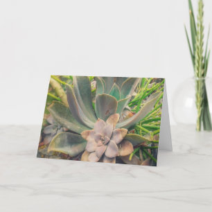 Carte Succulents, fête des mères