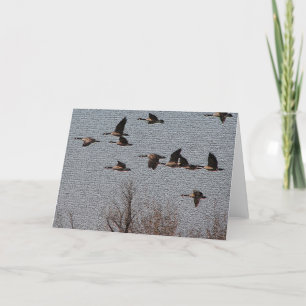 Carte Suivez votre coeur - oies