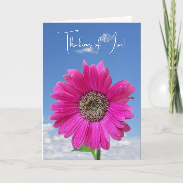Carte Summer Daisy Pink Penser De Vous (Devant)