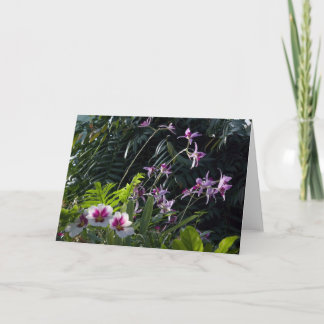 Carte Sun a tacheté des orchidées