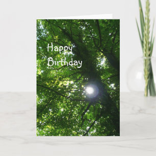Carte Sun in the Trees - Birthday
