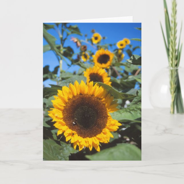 Carte Sunflower (Devant)