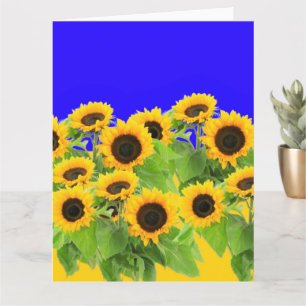 Carte Sunflowers Card Ukraine Flag Colors Peace Freedom