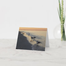 Sunrise à Sunset Beach