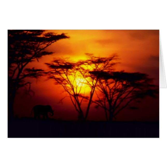 Carte Sunset africaine (Devant horizontal)