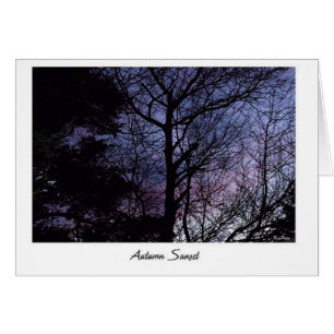 Carte Sunset Automne