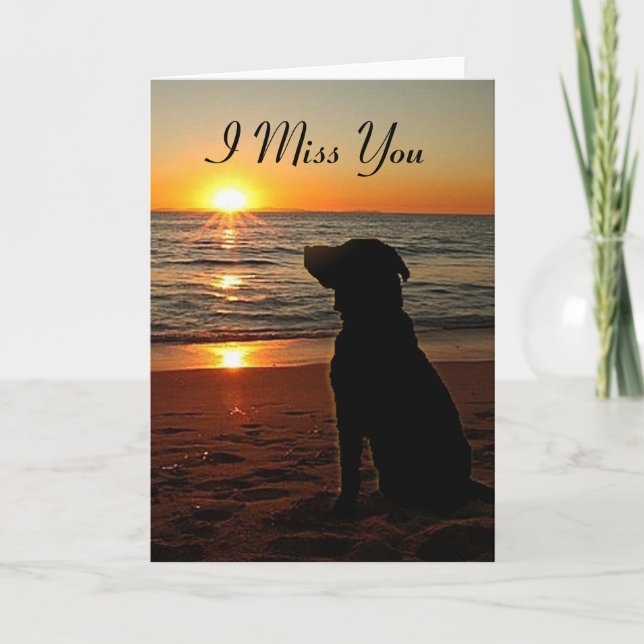 Carte Sunset Dog on Beach - Miss You Card (Devant)