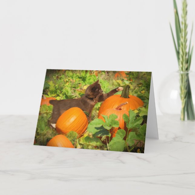 Carte Super Cute Kitten en Citrouille Patch Halloween (Devant)