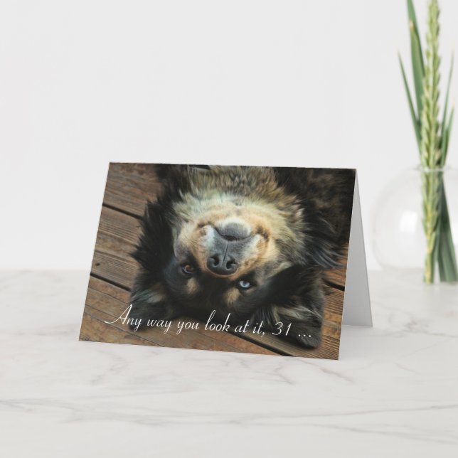 Carte Super mignon chien heureux 31e anniversaire drôle (Devant)