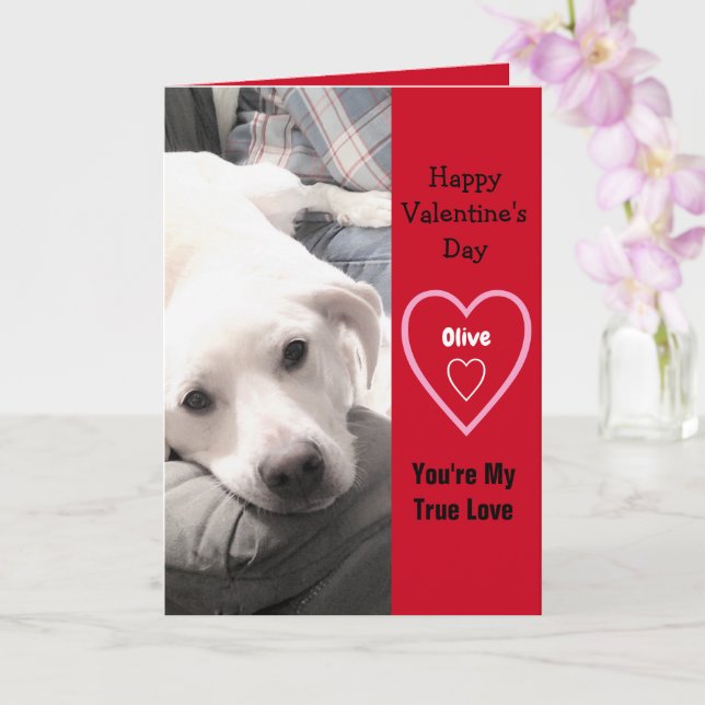 Carte Super mignon Valentine's Day Chien Chien Blanc Chi (Orchidée)