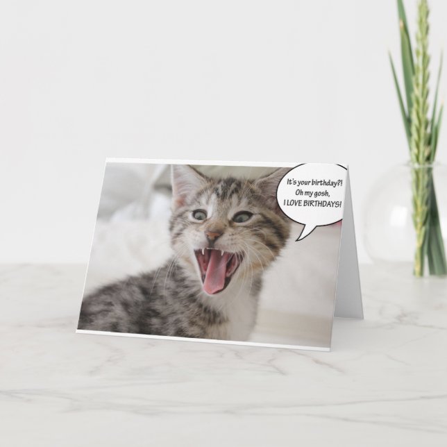 Carte Super surpris Kitten d'anniversaire! (Devant)