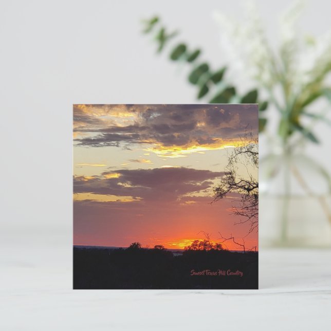 Carte Superbe Sunset Texas Hill Country Flat Card (Debout devant)