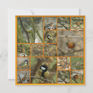 Carte sur un oiseau