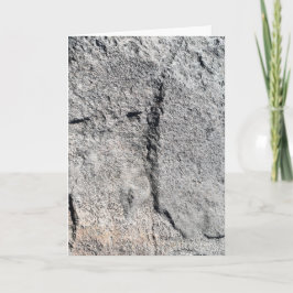 Carte Surface de roche d'ardoise grise
