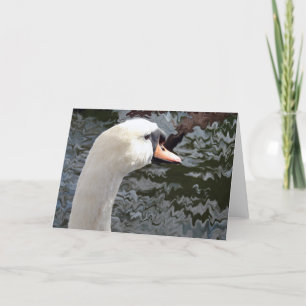 Carte Swan