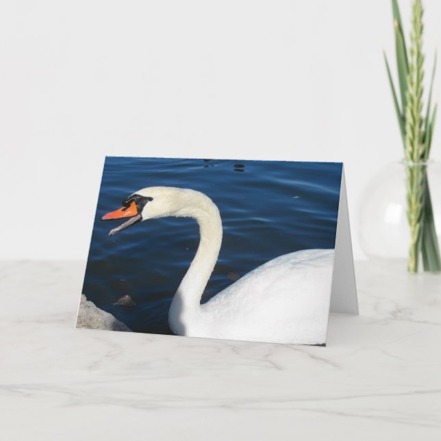 Carte Swan (Devant)