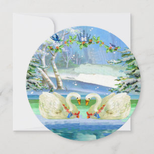 Carte Swan dans une Wonderland hivernale