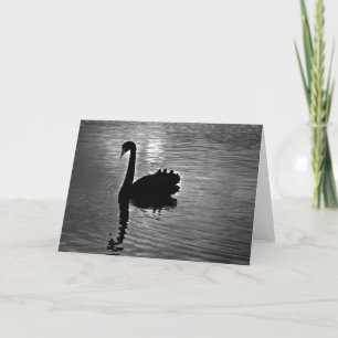 Carte Swan noir - Animal autochtone australien